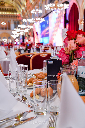 023_GalaDinner-Opec18-GregorNesvadba_1459